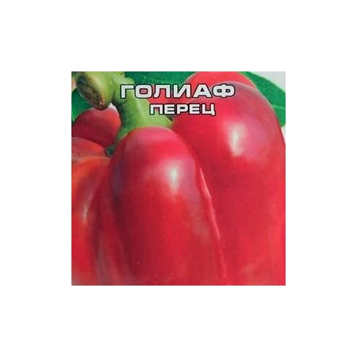 ������ ������ ������������� ������ ����� �������� ������ ����