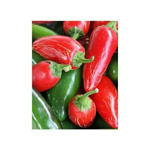 ������ ������ ������������� ������ ����� ������� ��������� ������ F1 ����