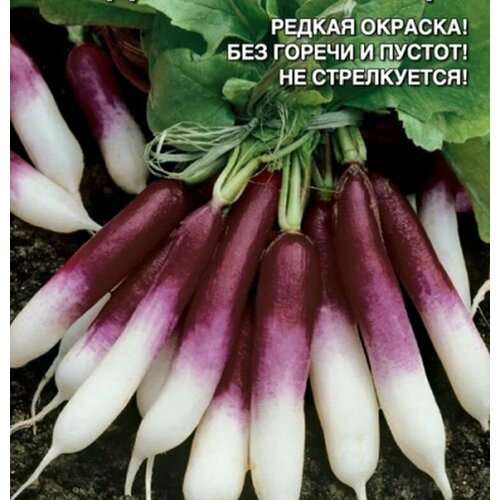 ������ ������ ������������� ������ ������ �������� ������ ����