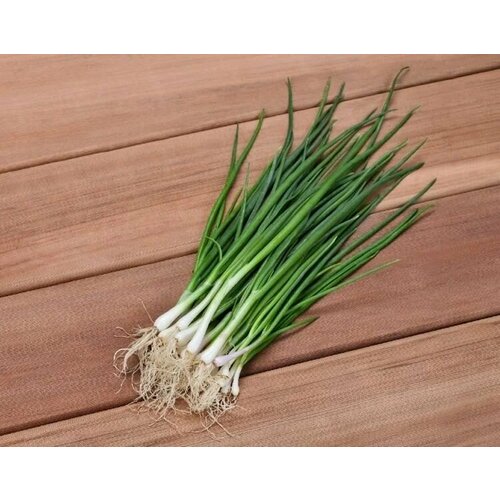 ������ ������ ������������� ������ ���� �� ������ ������ ����