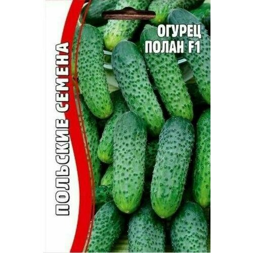 ������ ������ ������ ����� 10 �� ������ ������ (�������� 2 �����) ����