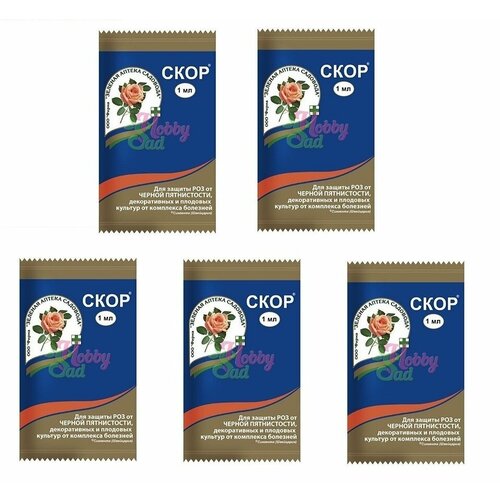 ������ ������ ������� ������ �������� �������� �� �������� �������� ���� 1 ��, 5 �� ����