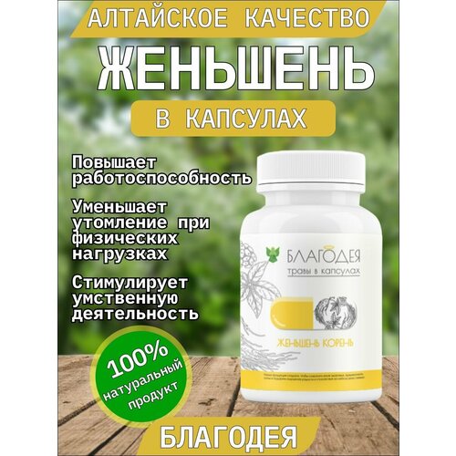 ������ ������ �������� � �������� 