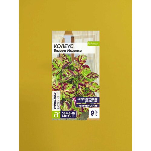 ������ ������ ������ ������ ������� 8 ����� ����