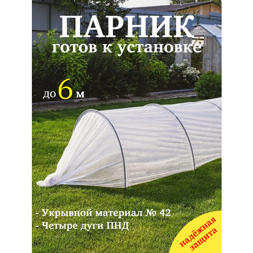 ������ ������ ������, ��� �������, �������, �������� ��������, �� 6 ������ ����