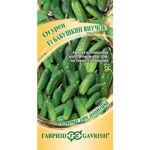 ������ ������ ������ ������ �������� ������ F1, 10��, ������, ������ �� ������ ����