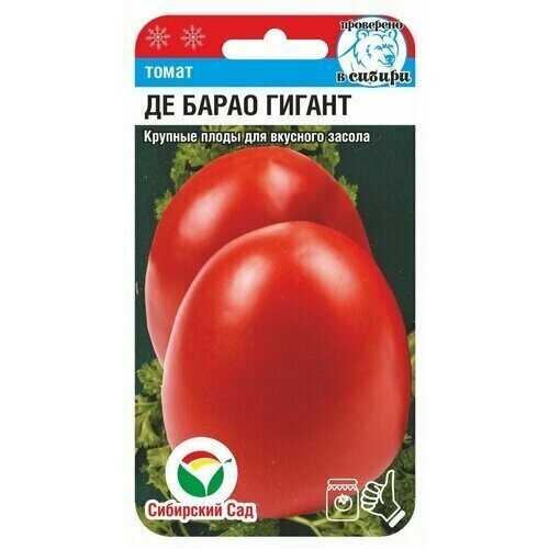 ������ ������ ������ ����� �� ����� ������ 20�� ����� (��������� ���) ����