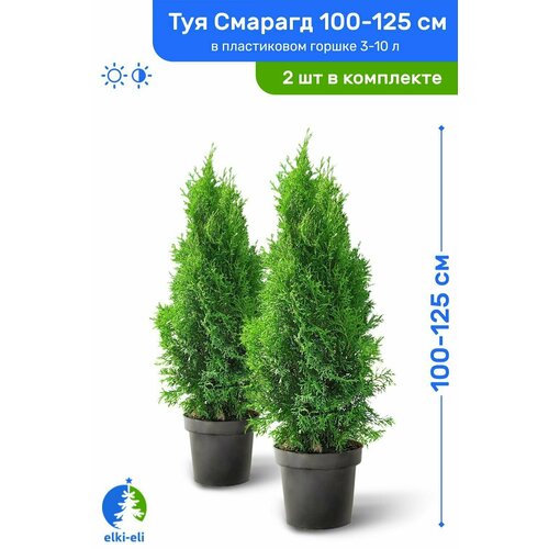 ������ ������ ��� �������� ������� 100-125 �� � ����������� ������ 3-10 �, �������, ������� ����� ��������, �������� �� 2 �� ����