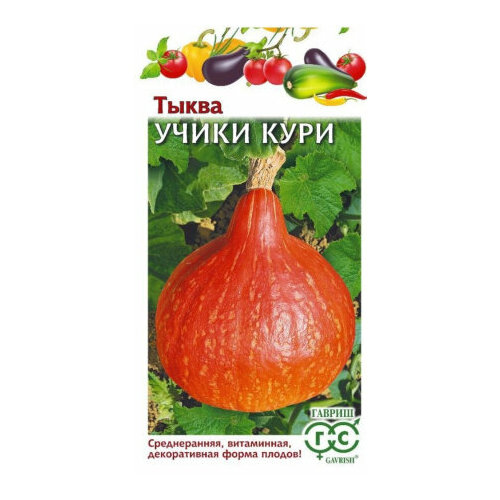 ������ ������ ������ ����� ����� ���� 5�� ������ (������) �23 ����