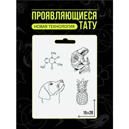 ������ ������ ���� ���������� �������������� �������� ����