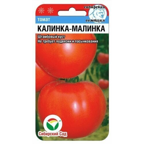 ������ ������ ������ ����� ������� ������� 20�� ��� (��������� ���) ����