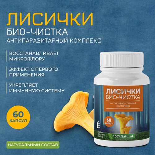 ������ ������ �������� �� ��������� ������� ���-������� ���������, 1 ��, 60 ������ ����