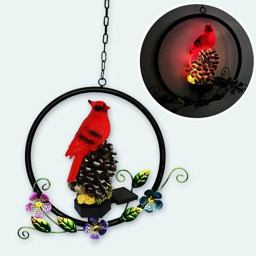 ������ ������ ������� ������� ��� ���� � ����. ������ �� ��������� �������. ������� ����