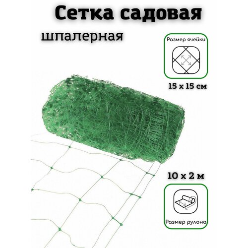 ������ ������ ����� ������� SaRo house ������� ����