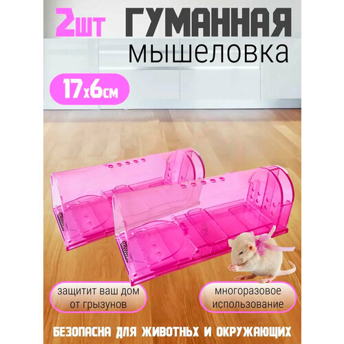 ������ ������ ��������� ��� ����� ��������, 2 �� ������� ����