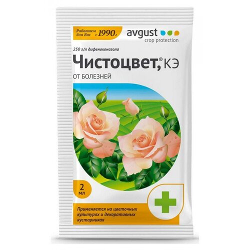 ������ ������ Avgust �������� �� �������� �������� ���������, ��, 2 �� ����