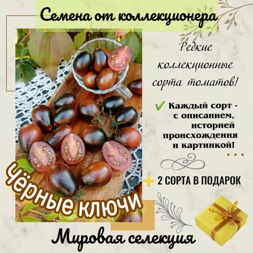 ������ ������ ����� 