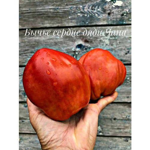 ������ ������ ������������� ������ ������ ������ ������� �� ���� ����