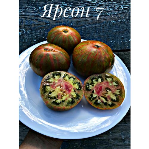 ������ ������ ������������� ������ ������ ����� 7 ����