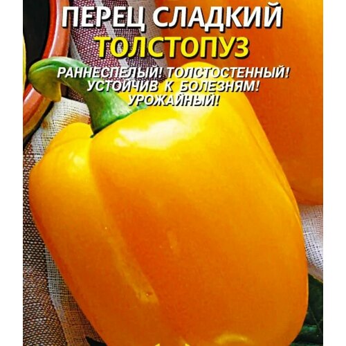 ������ ������ ������������� ������ ����� �������� ��������� ����