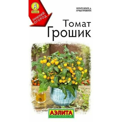 ������ ������ ����� ������ ����