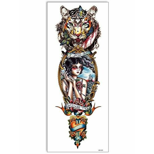 ������ ������ ���������� ��������� ���� ����� �� �������� / 43 � 15 �� ���� ����