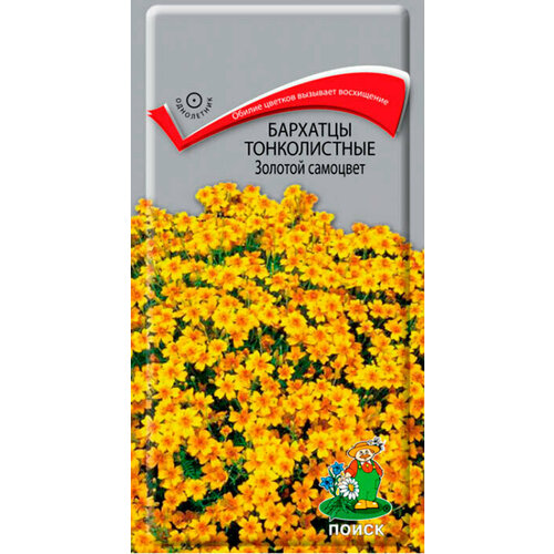 ������ ������ ������ �������� ������������ ������� �������� 0,1��. ����