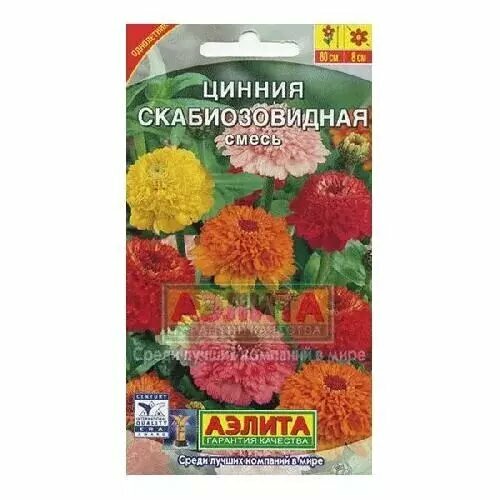 ������ ������ ������ �������� ����� F1, ������ ������ 12�� ����