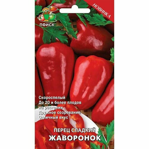 ������ ������ ������ ����� �������� ����������� ����� 