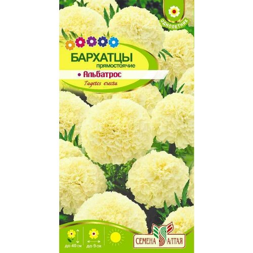 ������ ������ �����. �������� ��������� 0,1� (������ �����). ����� �� 3-� ���������. ����