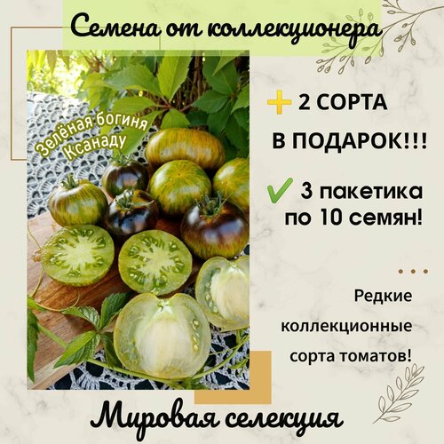 ������ ������ ����� ������ ������ �������, ������������ ��������, ������������� ���� ����