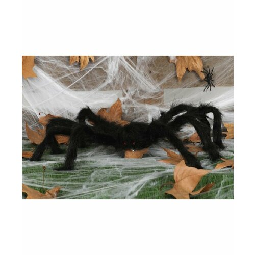 ������ ������ ��������� �� ��������: ������ �������� ����, 60 �� (17165) ����