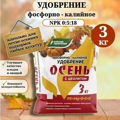 ������ ������ ��������� ��������-�������� 