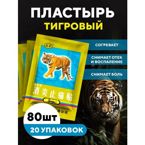 ������ ������ �������� �������� 80 �� ����