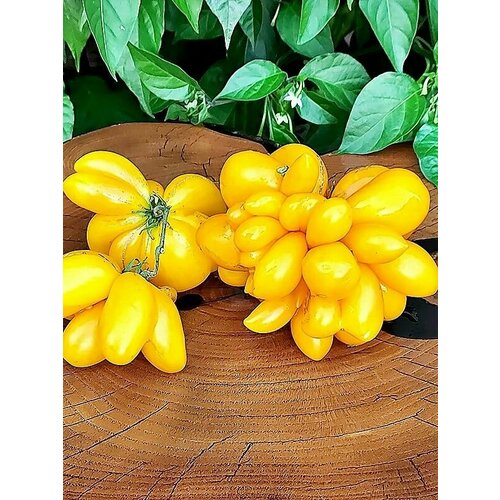 ������ ������ ������������� ������ ������ ������ ���� ����