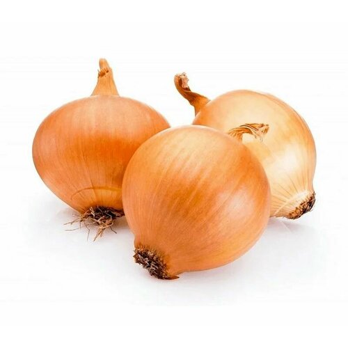 ������ ������ ������������� ������ ���� ����� ������ ����