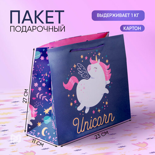 ������ ������ ����� ���������� �Unicorn� � ����������, 27 � 23 � 11,5 �� ����