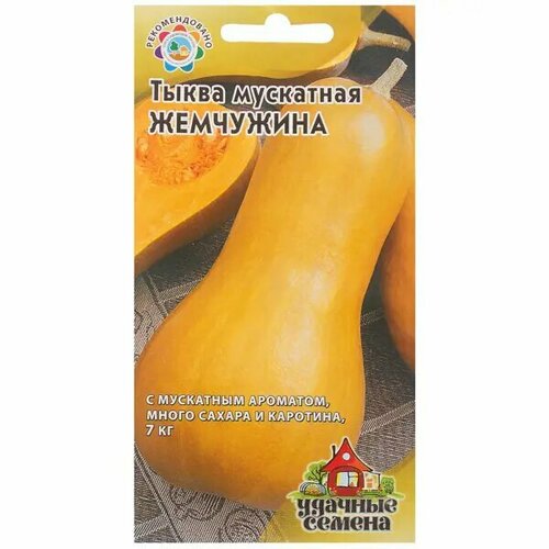 ������ ������ ������ ����� ���������� ��������� 2 � ����