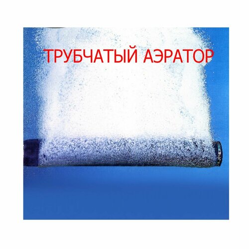 ������ ������ ������� ����������� ��������� �� �������� ��� ����� � �������, 75 �� ����