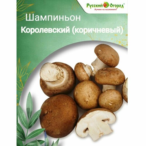 ������ ������ ��������� ����������� (����������) ����