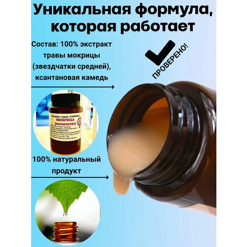 ������ ������ �������� �������, ����� ������� (����������) �� ������� � ���������� ���������� ��������������, ��� �������� � ������, ������ ����