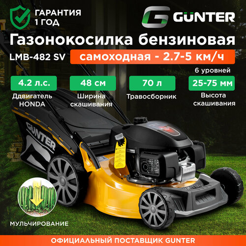 ������ ������ ������������� ���������� ���������� GUNTER LMB-482 SV (GU2410-1) ����