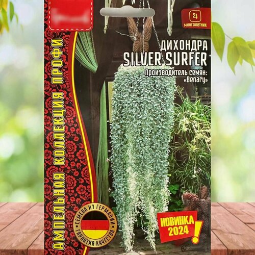 ������ ������ ������ ������ �������� ��������� ����� �������� Silver Surfer 1 �������� ����