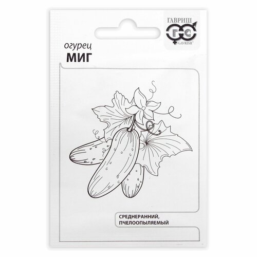 ������ ������ ������ ������ 