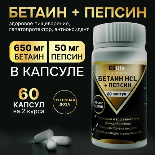 ������ ������ ������ ����������� 656 �� � ������ 50 �� ������� ������� ��� ������ ����������� ��� ������������ �� ������ 60 ������ ����