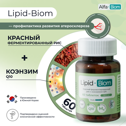 ������ ������ ������� ���������������� ��� 