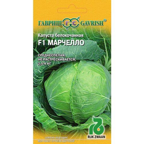 ������ ������ ������ ������� ������������ �������� F1 10�� (������) ����