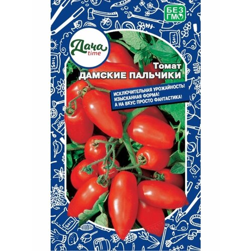 ������ ������ ������ ����� ������� �������� 20�� ��� ������ (����time) ����