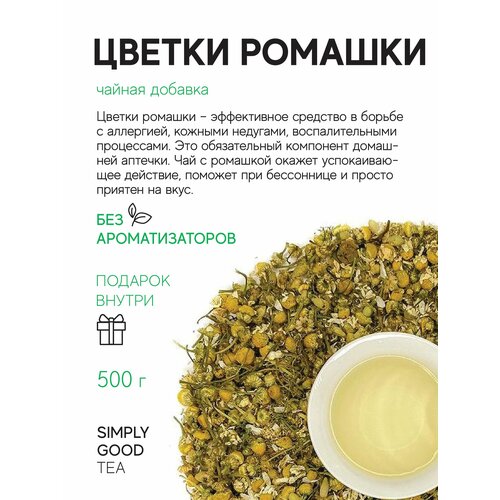 ������ ������ ������ ������� ������ ������� 500 �� ����