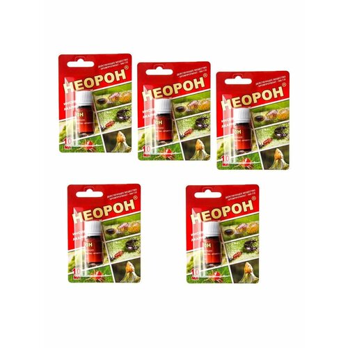 ������ ������ ������ �� ����� �� ��������� 10�� 5 �� ����